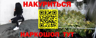 spice Камышлов