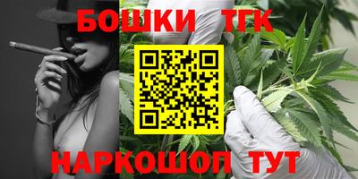 spice Камышлов